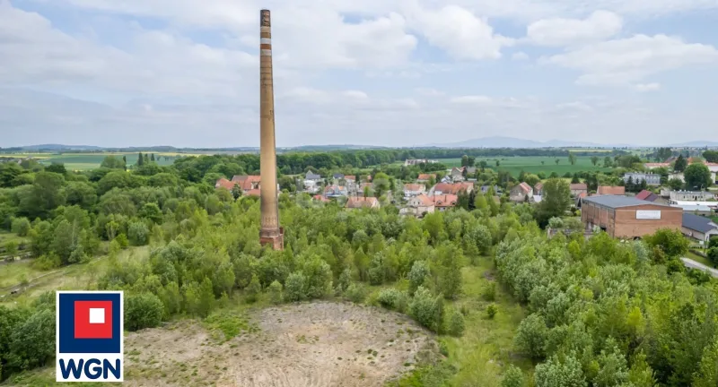 Grunt aktywizacja gospodarcza na  wynajem Pastuchów - NA WYNAJEM grunt inwestycyjny 92.284 m2 z MPZP, Pastuchów, powiat świdnicki