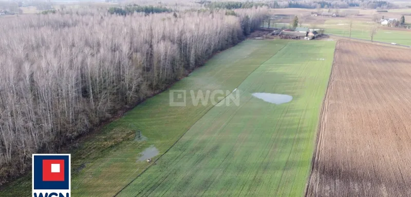 Dom na  sprzedaż Borawskie - REZERWACJA | Siedlisko pod lasem 1,7 ha | Borawskie